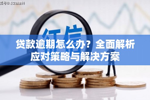 青岛贷款逾期怎么办？全面解析应对策略与解决方案