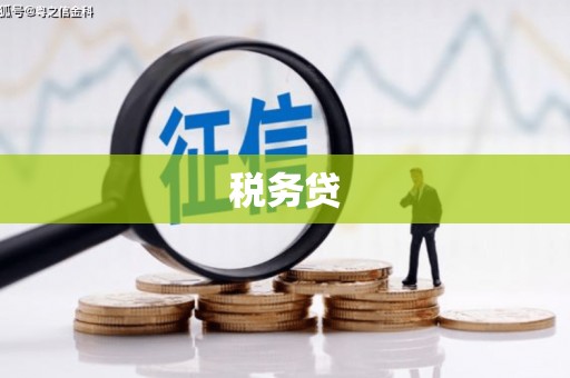 青岛税务贷