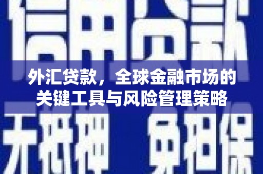青岛外汇贷款，全球金融市场的关键工具与风险管理策略