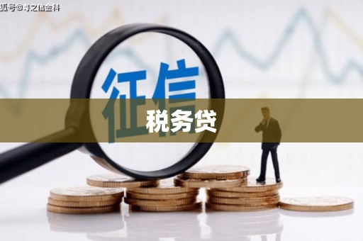 青岛税务贷