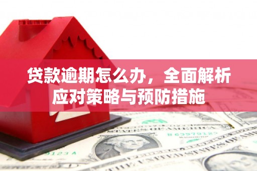 青岛贷款逾期怎么办，全面解析应对策略与预防措施