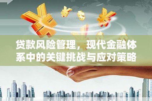 青岛贷款风险管理，现代金融体系中的关键挑战与应对策略