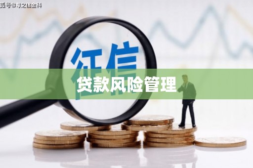 青岛贷款风险管理