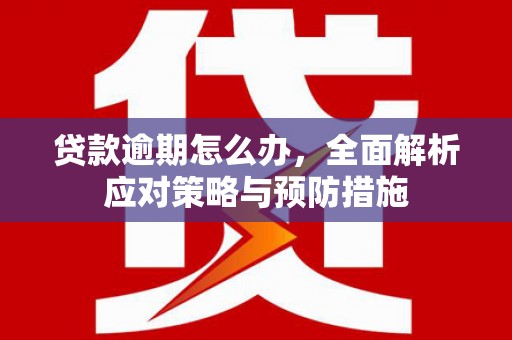 青岛贷款逾期怎么办，全面解析应对策略与预防措施