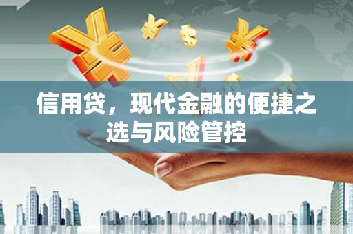 青岛信用贷，现代金融的便捷之选与风险管控