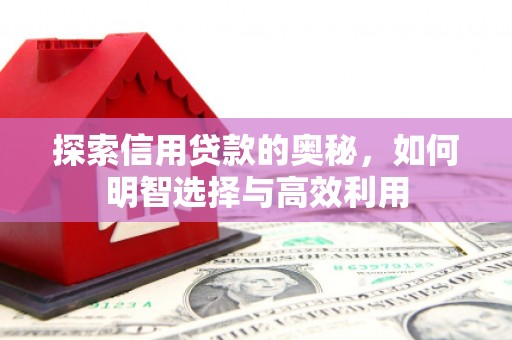 青岛探索信用贷款的奥秘，如何明智选择与高效利用