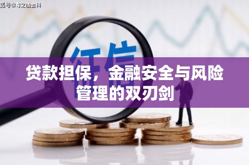 青岛贷款担保，金融安全与风险管理的双刃剑