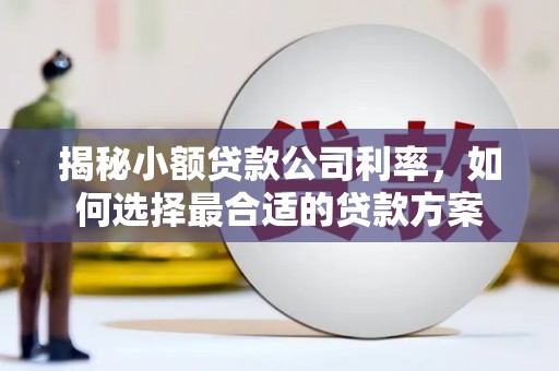青岛揭秘小额贷款公司利率，如何选择最合适的贷款方案